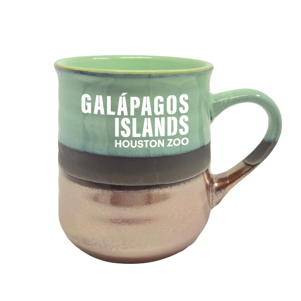 GALAPAGOS ISLANDS COPPER BOTTOM MUG