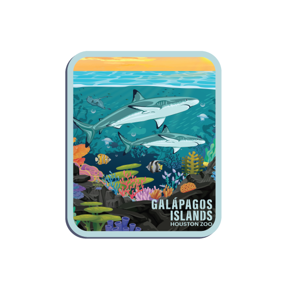 GALAPAGOS ISLANDS SHARK MAGNET