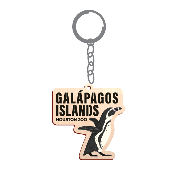 GALAPAGOS ISLANDS PENGUIN KEY CHAIN